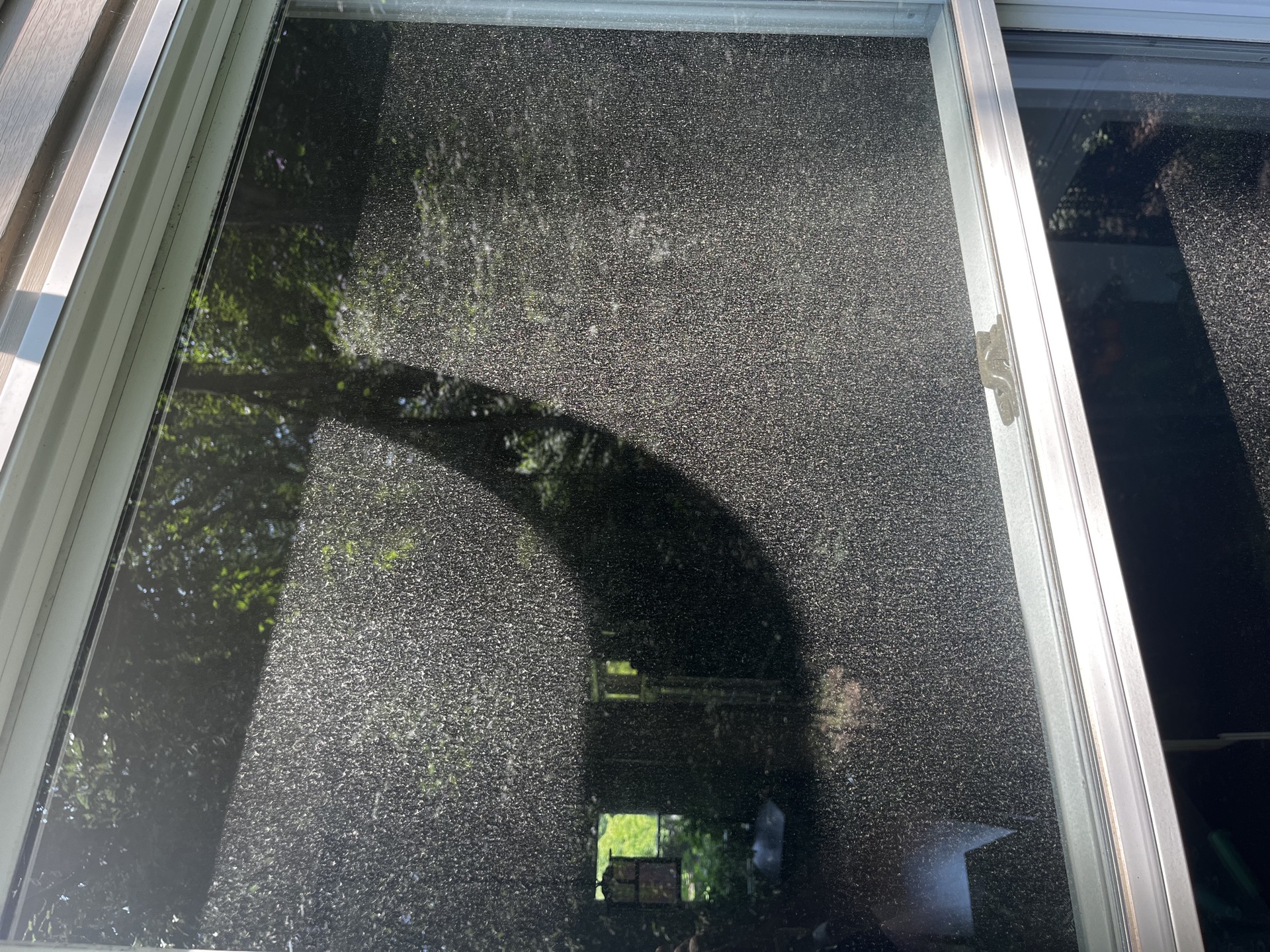 Before window cleaning