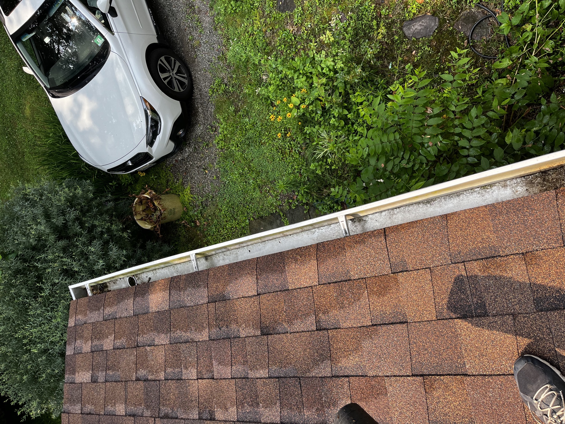 Before gutter cleaning