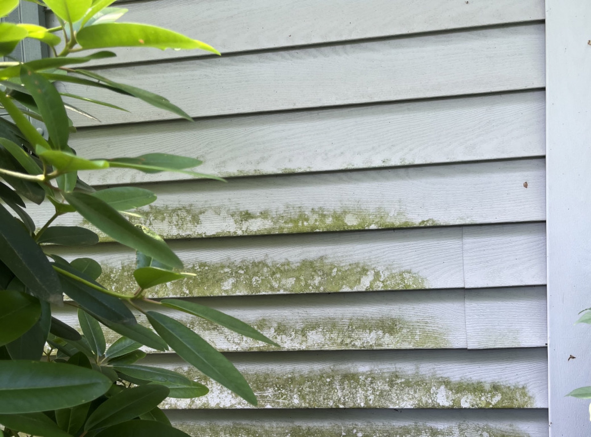 Soft washing the exterior siding of a residential home